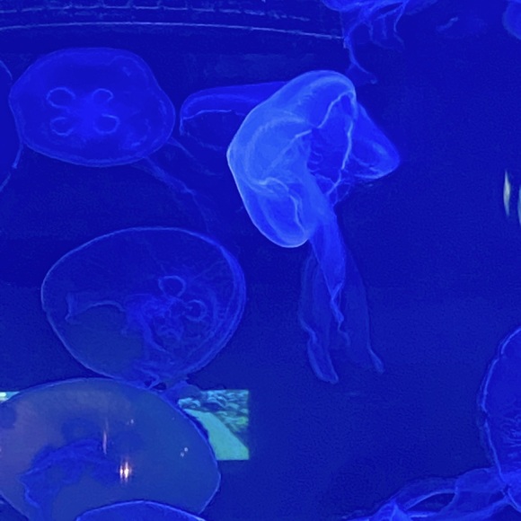 Meet your Posher, Chris - Picture 2 of 2